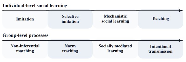 Core Cognitive Diagram